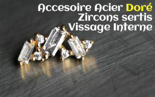 Accessoire Acier Dore Zircons sertis