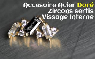 Accessoire Acier Dore Zircons sertis