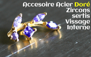 Accessoire Acier Dore Zircons sertis