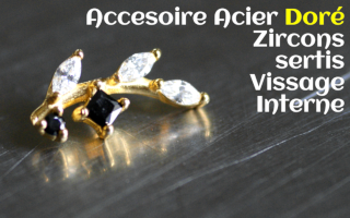 Accessoire Acier Dore Zircons sertis
