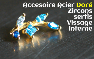 Accessoire Acier Dore Zircons sertis