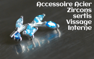 Accessoire Acier Zircons sertis