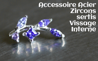 Accessoire Acier Zircons sertis
