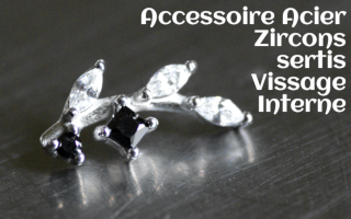 Accessoire Acier Zircons sertis