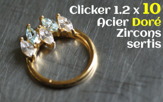 Clicker Acier Dore 1.2 x 10 Zircons sertis