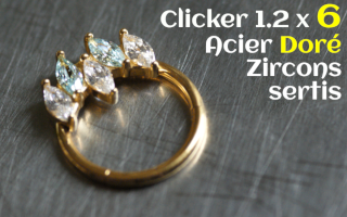 Clicker Acier Dore 1.2 x 6 Zircons sertis