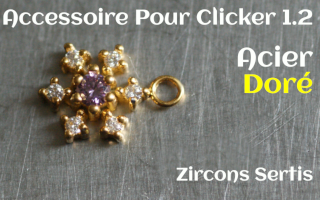 Accessoire Acier Dore pour clicker 1.2 zircons sertis