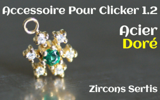 Accessoire Acier Dore pour clicker 1.2 zircons sertis
