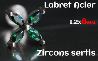 Labret 1.2 x8 Acier Zircon sertis