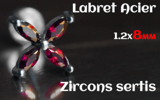 Labret 1.2 x8 Acier Zircon sertis