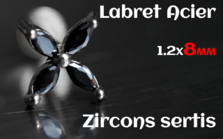 Labret 1.2 x8 Acier Zircon sertis