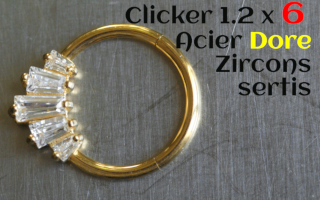 Clicker Acier Dore 1.2 X 6 - zircons cristal sertis