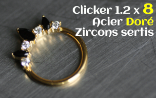 Clicker Acier dore 1.2 X 8 - zircons sertis