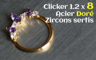 Clicker Acier dore 1.2 X 8 - zircons sertis