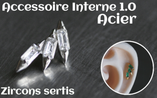 Accessoire pour tige insersée 1.2 - vissage 1.0 - Acier- zircons sertis