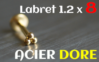 Labret 1.2 x 8 Acier Dore