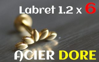 Labret 1.2 x 6 Acier dore