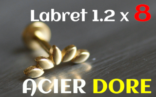 Labret 1.2 x 8 Acier dore