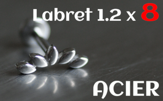 Labret 1.2 x 8 Acier