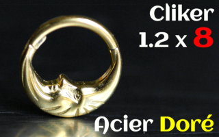 Clicker 1.2x8 Acier Doré
