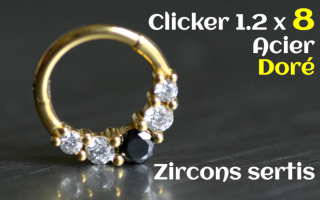 Clicker 1.2x8 Acier Dore zircons sertis