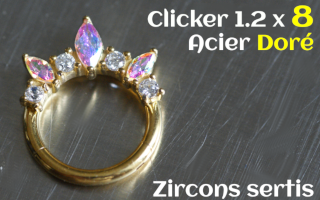 Clicker 1.2x8 Acier Dore zircons irise sertis
