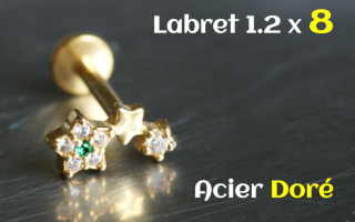 Labret 1.2x8 Acier dore
