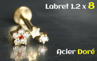 Labret 1.2x8 Acier dore