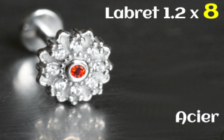 Labret 1.2x8 Acier