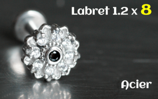 Labret 1.2x8 Acier