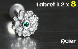 Labret 1.2x8 Acier