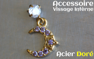 Accessoire acier dore pour vissage interne -pendentif coeur