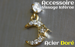 Accessoire acier dore pour vissage interne -pendentif coeur