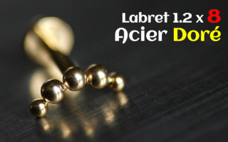 Labret Acier Dore 1.2x8