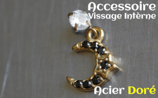 Accessoire acier dore pour vissage interne -pendentif coeur