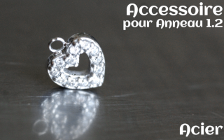 Accessoire pour anneau 1.2 acier - coeur