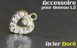 Accessoire pour anneau 1.2 acier dore - coeur