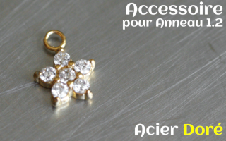 Accessoire pour anneau 1.2 acier dore - etoile