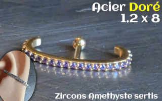 1.2 x 8 - Acier Doré- zircons sertis aethyste