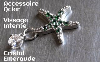 Accessoire pour anneau 1.2 acier - zircons verts/FR>