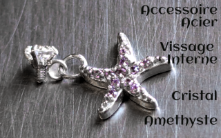 Accessoire pour anneau 1.2 acier - zircons amethyste/FR>