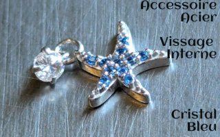 Accessoire pour anneau 1.2 acier - zircons aqua/FR>