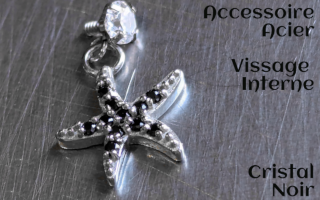 Accessoire pour anneau 1.2 acier - zircons noir