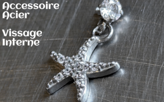Accessoire pour anneau 1.2 acier - zircons cristal