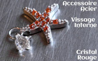 Accessoire pour anneau 1.2 acier - zircons rouge