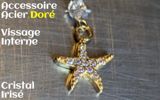 Accessoire pour anneau 1.2 acier Dore- zircons irise