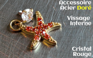 Accessoire pour anneau 1.2 acier Dore- zircons rouge