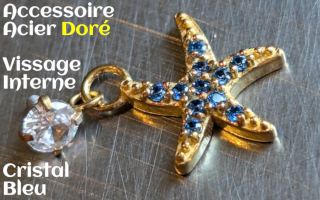 Accessoire pour anneau 1.2 acier Dore- zircons aqua