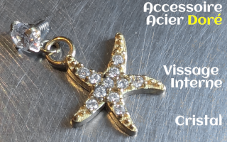 Accessoire pour anneau 1.2 acier Dore- zircons cristal