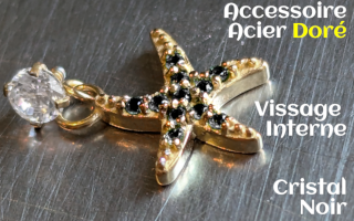 Accessoire pour anneau 1.2 acier Dore- zircons Noir